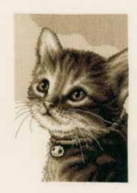 Kitten (14 Count) - Counted Cross Stitch Kit: Stitch-It Central