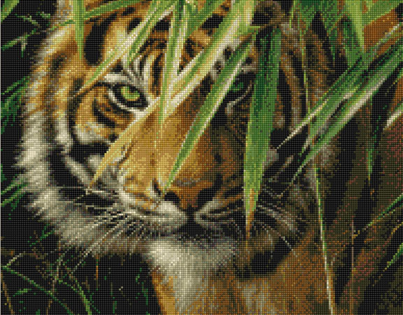 Emerald Forest - Tiger